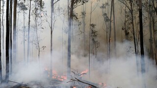 Dymu z Austrálie už nebráni ani atmosféra, môže obletieť Zem