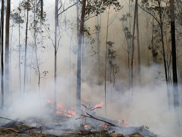 Dymu z Austrálie už nebráni ani atmosféra, môže obletieť Zem