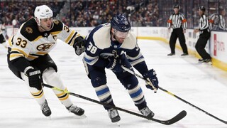 NHL: Halák striedal po 72 sekundách, prehre Bruins nezabránil