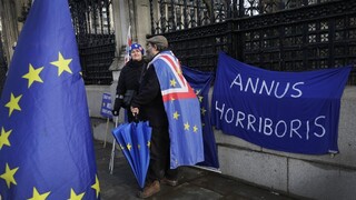 Na pobrexitovej dohode budeme pracovať dňom i nocou, tvrdí Leyenová