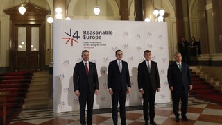 D. Vozdecký o summite premiérov krajín V4 a Rakúska