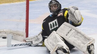 Najviac gólov padlo v Detve, domáci odolávali favoritovi