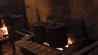 Exotika sa preceňuje. Zo superpotravín varili aj naše babičky