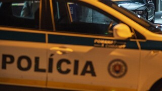 Polícia mala v reštaurácii zadržať vyčíňajúceho slovenského ministra