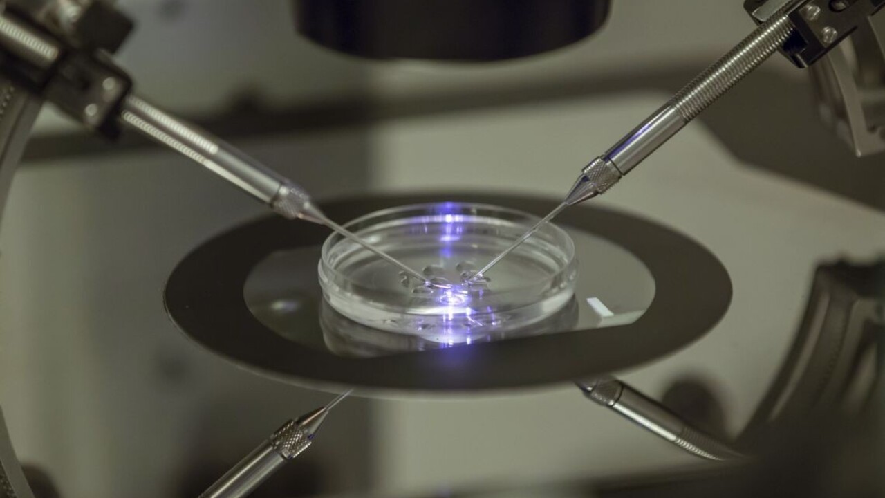 Macron plní sľub, oplodnenie môžu využiť i lesby a slobodné ženy