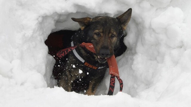 Matečná ocenila záchranárov a po prvýkrát v histórii SR aj psov