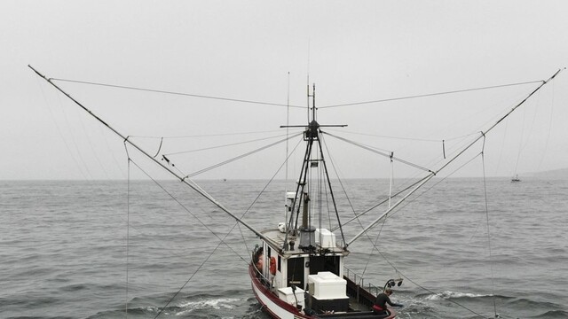 Brexit začínajú ľudia pociťovať, rybári dostali zákaz do vôd ostrova