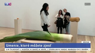 Šaty z rybej kože / Umenie, ktoré môžete zjesť