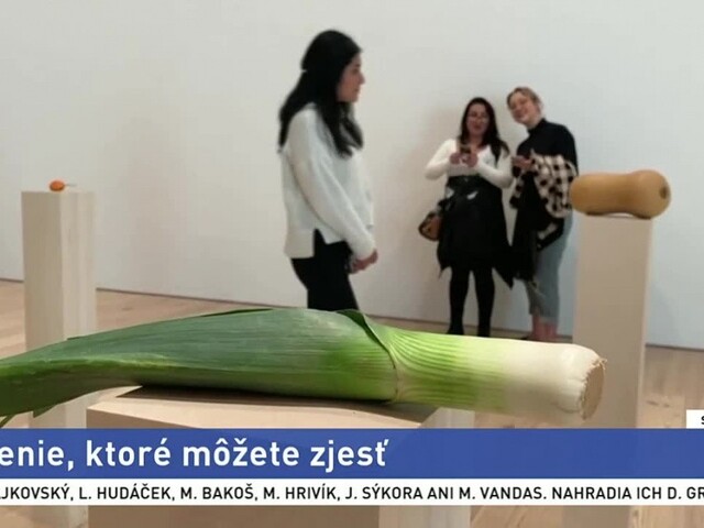 Šaty z rybej kože / Umenie, ktoré môžete zjesť