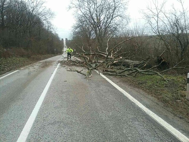 Víchor lámal stromy, ľudia boli bez elektriny. Výstrahy trvajú