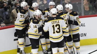 NHL: Bruins sú na čele. Halák vychytal víťazstvo nad Capitals