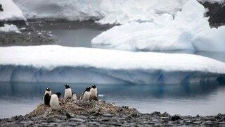 V Antarktíde bolo ako v lete, namerali najvyššiu teplotu histórie