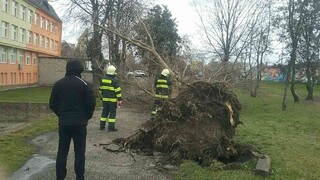 Udrie na nás víchrica, ktorá pustoší ČR. Vydali najvyššie výstrahy