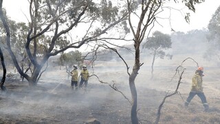 Austrália má po mesiacoch požiare pod kontrolou, pomohol aj dážď