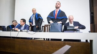 Znalkyňa tvrdí, že ju pri zmenkách ovplyvňovali. Minister reagoval