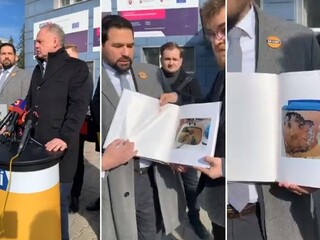 Kiskovci ukázali zanedbané internáty. Divadlo, reagoval rezort