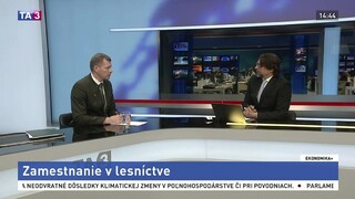 Ekonomika+ o zamestnaní v lesníctve