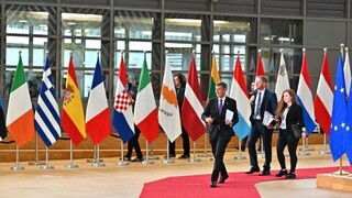 Babiš na summite EÚ zastupuje aj nás. SR nechce presne to, čo ČR