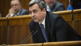 Podľa Danka potrebujeme miliardy, výpadok pri známkach je kvapka v mori