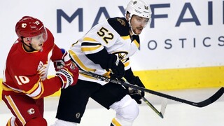 NHL: Halák trikrát inkasoval, Bostonu však víťazstvo neušlo