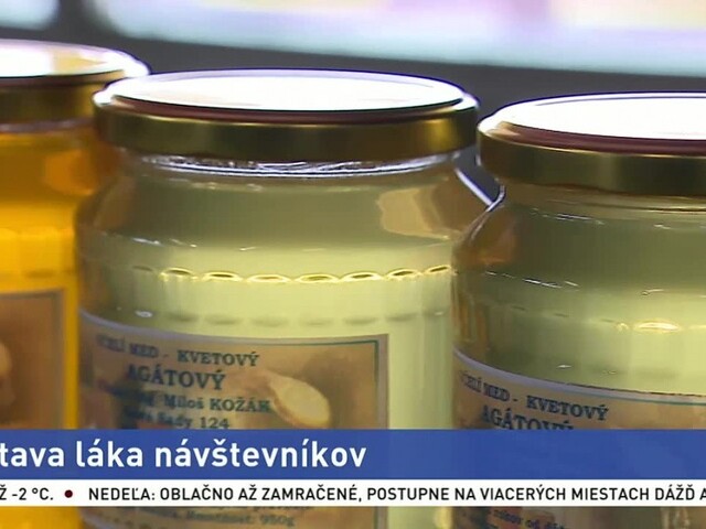 Výstava láka návštevníkov. Na jednom mieste sú rybári i včelári