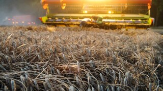 Z obalov výrobkov sa dozvieme aj o GMO, v SR ich chcú zakázať