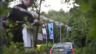 Stratené dievčatko hľadali v Česku desiatky ľudí. Nenašli ho živé