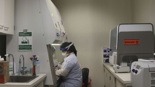 Vírus hlásia z ďalších dvoch štátov, nových prípadov je opäť menej