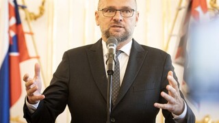 Končiaca vláda podľa SaS núti úradníkov k pochybnej činnosti