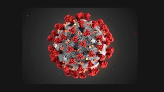 Štúdia o koronavíruse Covid-19 odhaduje priemernú inkubáciu 5,1 dňa