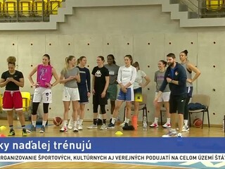 Základnú časť basketbalistky neodohrajú, Čajky však stále trénujú