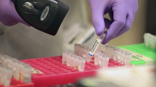 Spolupracovník TA3 P. Mikitič o boji s nákazou v Británii