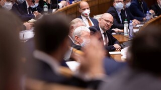 Niektoré výbory už majú svojich šéfov. Blaha nezískal dosť hlasov