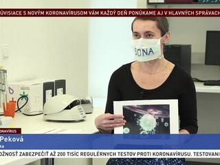 Virologička S. Peková o nových českých testoch na koronavírus