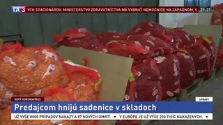 Záhradníctva sú zatvorené, predajcom sadenice hnijú v skladoch