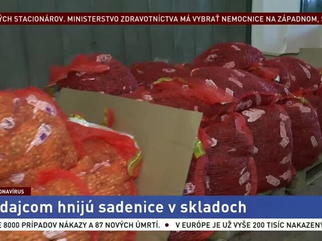 Záhradníctva sú zatvorené, predajcom sadenice hnijú v skladoch