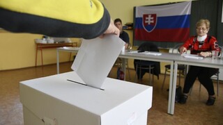 Doplňujúce voľby sa odkladajú, ohlásil nový šéf parlamentu