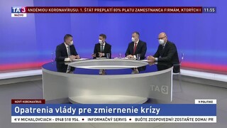Opatrenia vlády pre zmiernenie krízy / Repatriácia a európska spolupráca