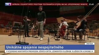 Unikátne spojenie nespojiteľného / Raj pre všetkých milovníkov mačiek