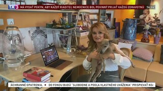 Umelci pozdravujú: predstaviteľka keramickej tvorby Ivett Axamitová