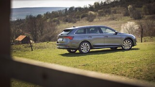 Nová Škoda Octavia, dezinfekcia auta a Mercedes V 300d