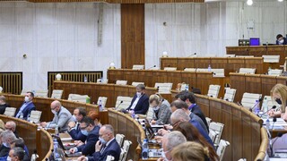 Rokovanie NR SR o opatreniach i voľbe predsedu výboru
