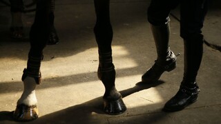 Epidémie sú daňou za civilizáciu. Výnimočné postavenie mal mor