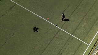 Niektorí už môžu trénovať, musia však dodržať nariadenia