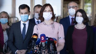 Konečne sa začali čistky, tvrdí Remišová po zásahoch NAKA