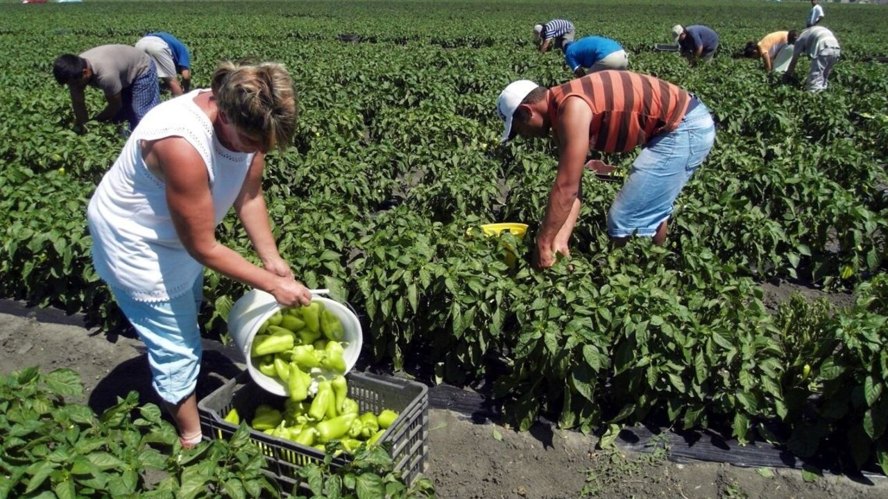 Dohodárom, ktorí stratili príjem, pomôžu. Vyčíslili mesačnú sumu