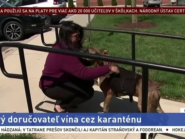 Katedrála, v ktorej sa písali dejiny/ Nový doručovateľ vína cez karanténu