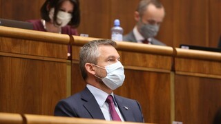 Pellegrini súhlasí so skrátenými konaniami, ak súvisia s krízou