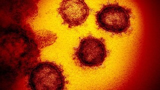 Vedcom sa podaril sľubný objav, môže neutralizovať koronavírus