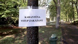 Ďalšie karanténne zariadenie je v Nitre, ide o internát